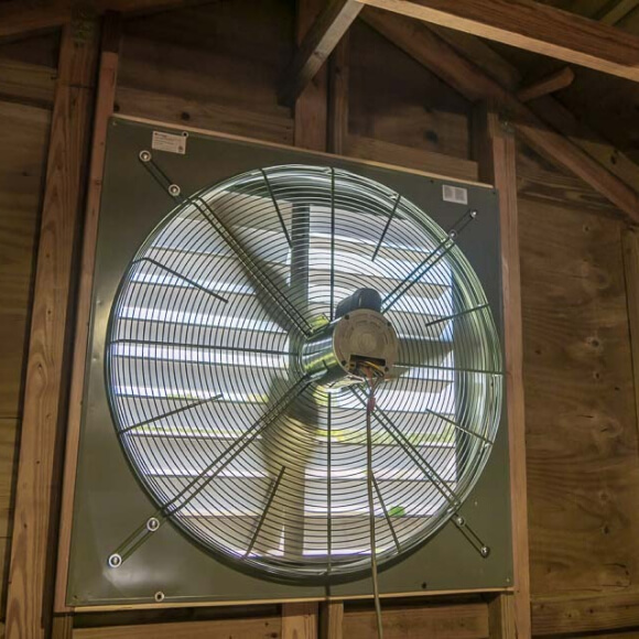 Exhaust Fans
